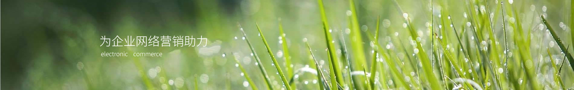 ½ҵ޹˾